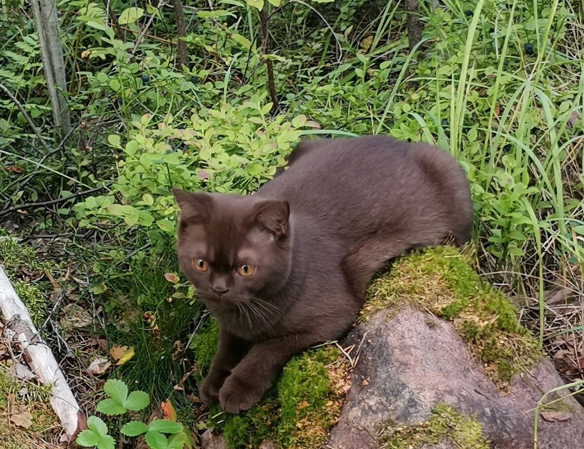 Посидеть на камушке, помечтать, вот красота))