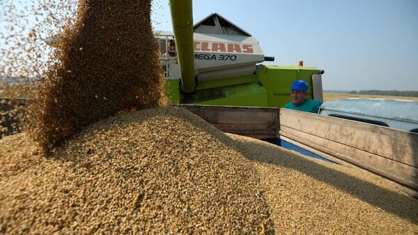    © Sputnik / Александр Кряжев