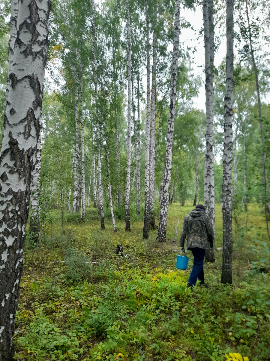 "Доброе утро, мир! Ты прекрасен!" Фото автора