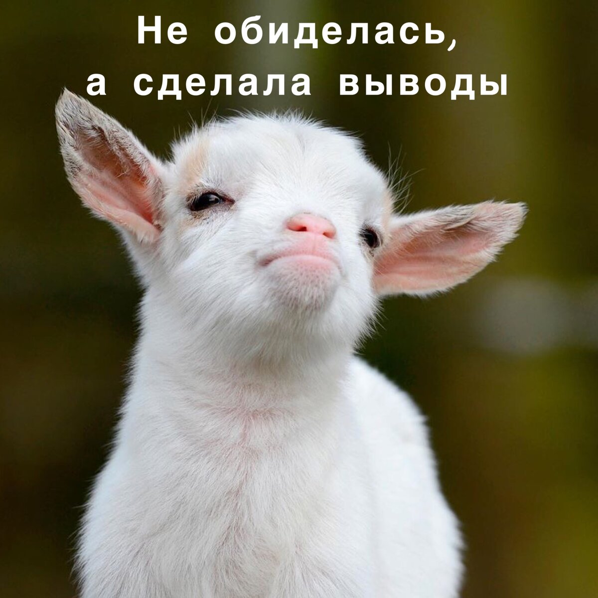 делаем выводы и идем дальше