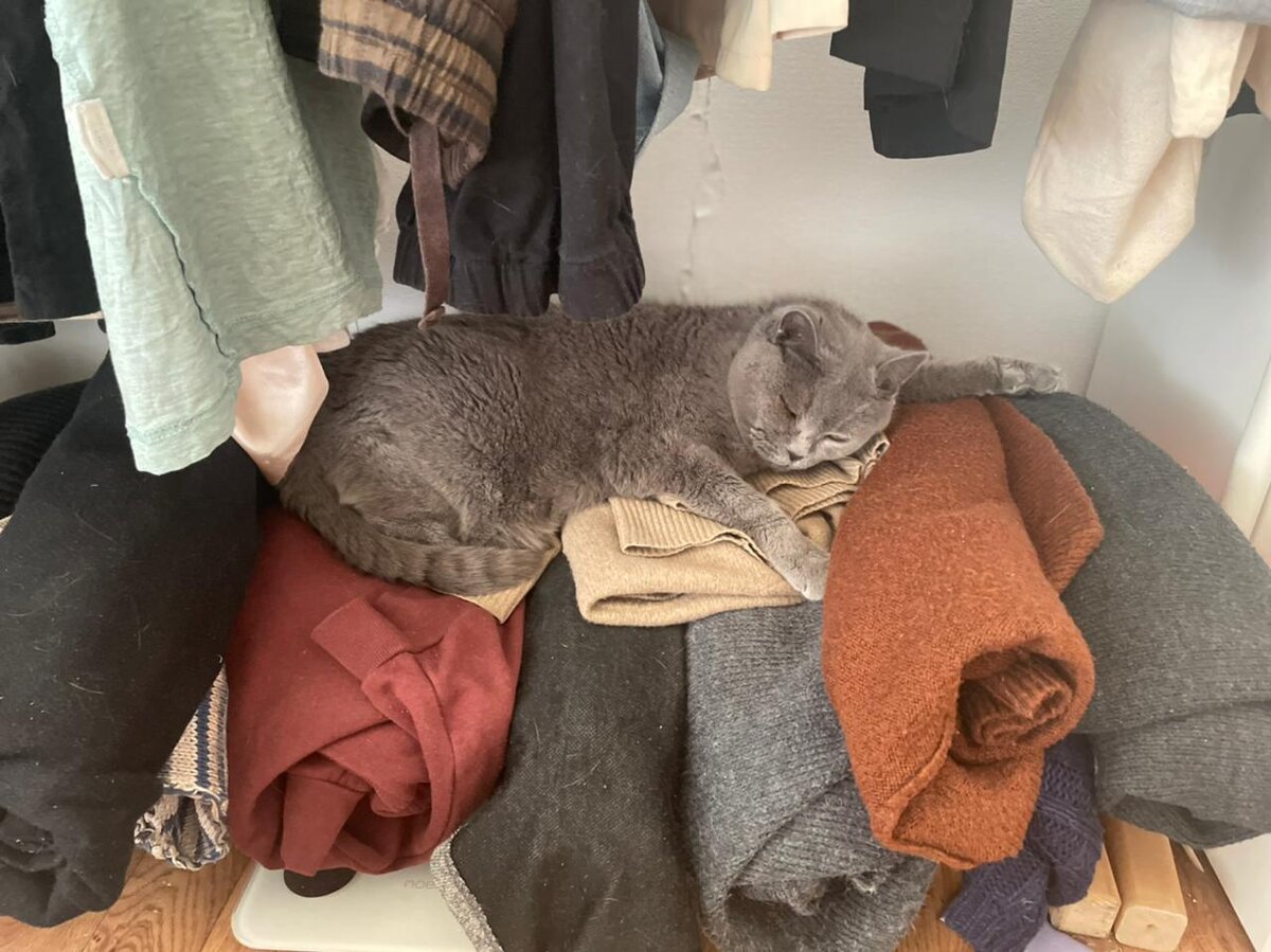 По мнению врачей, это даме аж 18 лет. 