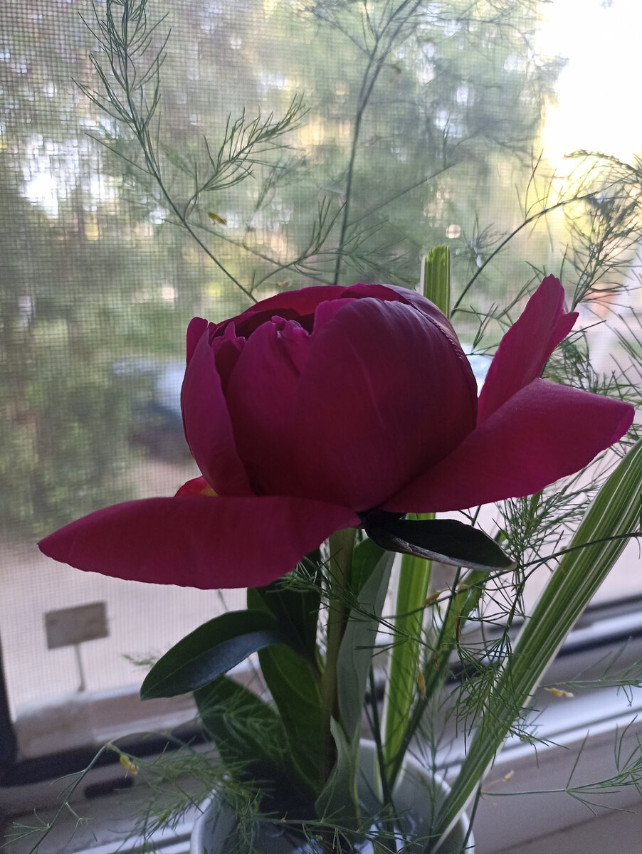 Фото из личного архива