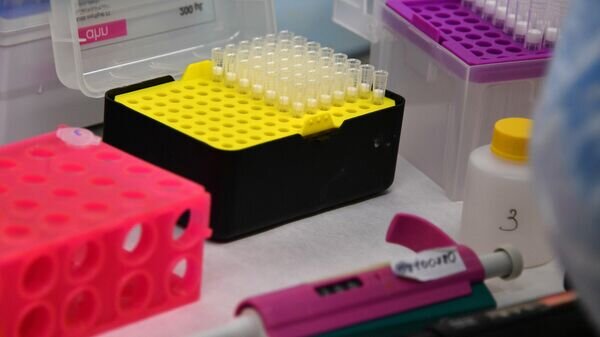    © Sputnik / Виктор Толочко