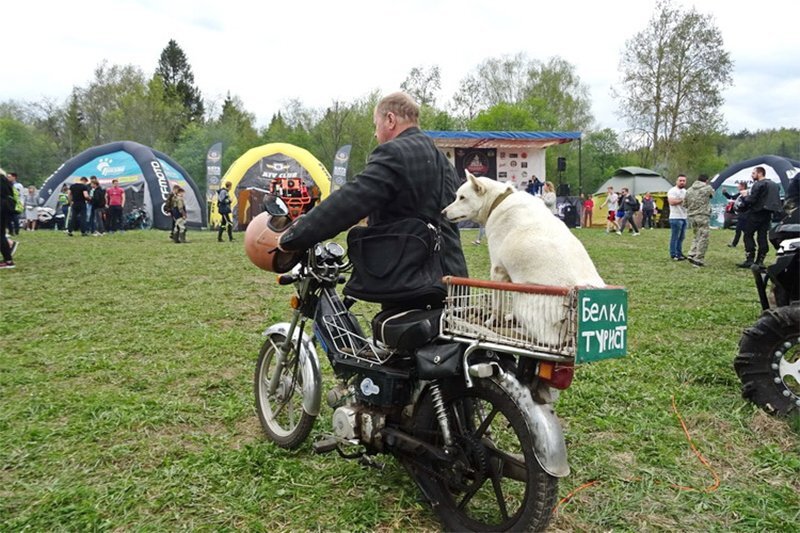 Фото с twitter.com/petexperiment