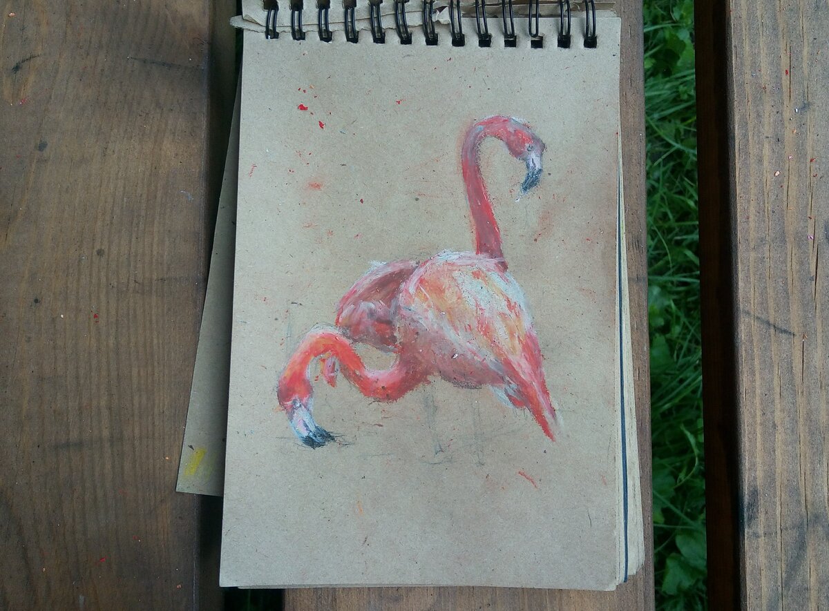 Рисунки пастелью Фламинго