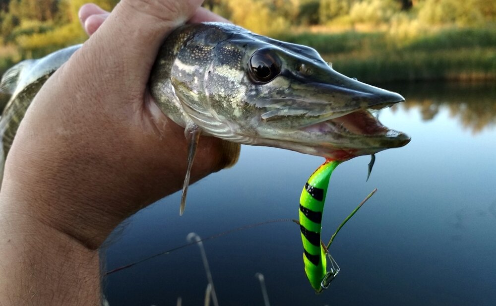 https://spinning-ryaz.ru/shop/blesny-voblery-primanki/blesny-i-voblery-blesny-rapala