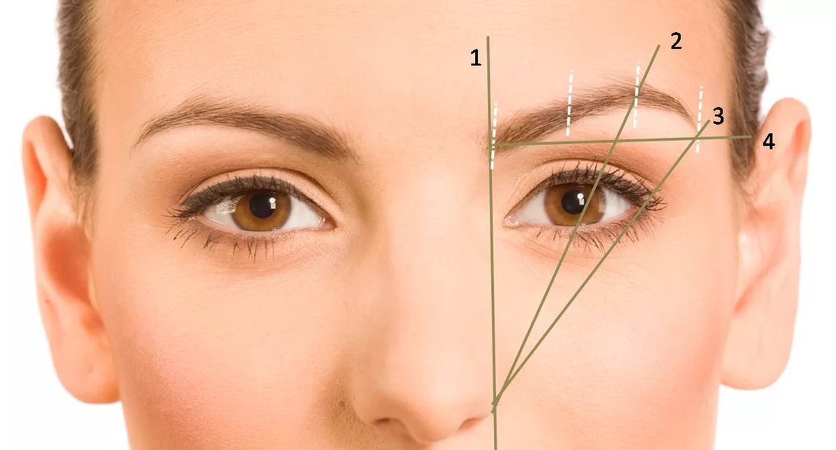 Между бровями. Глабелла гослинг. Надпереносье глабелла. Как называется пространство между бровями. Как называется пространство между бровями.