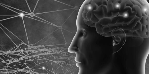 Картинка из интернета