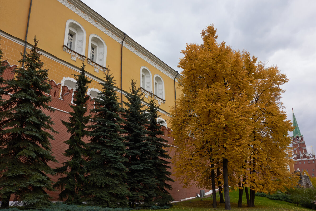 В Александровском саду