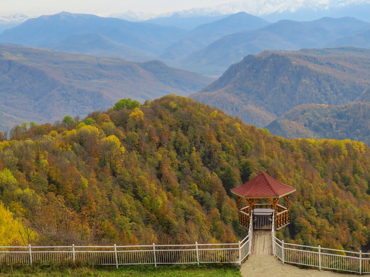 Здесь и далее - фото автора.