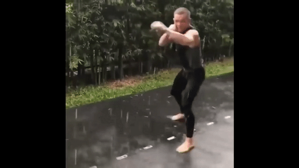 бокс, петр ян, мма, ufc
