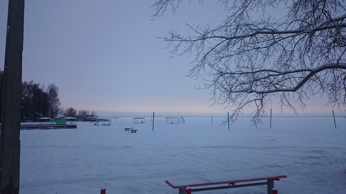 Фото автора.