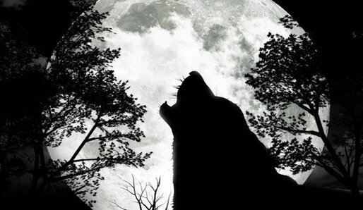 Современная медицина показывает, что потребление крови фактически остановило развитие ликантропии как болезни, потому что эти «оборотни», таким образом, получали питательные вещества, которые страдали от острого дефицита.