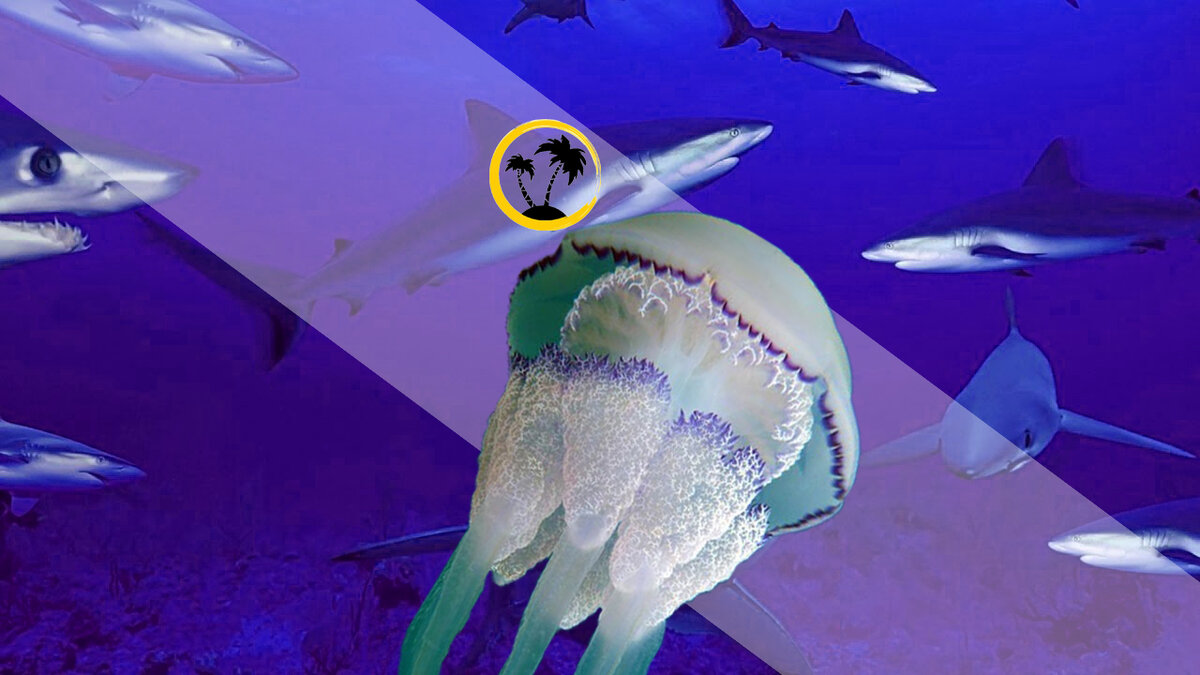 Не забудьте подписаться на канал)