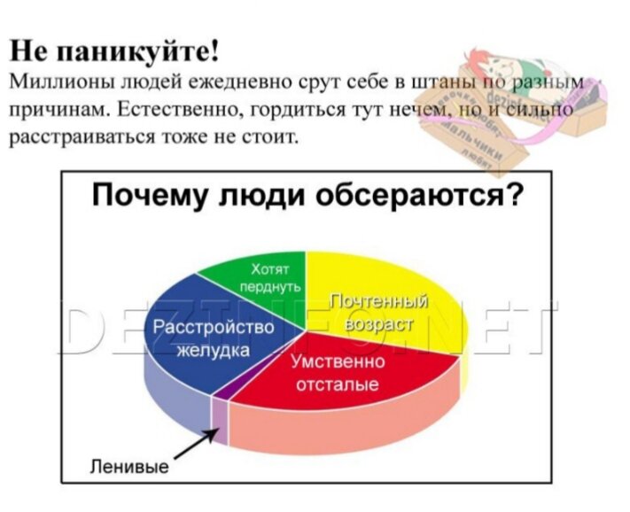 Итак,план действий