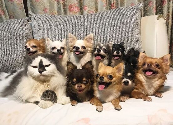 Источник: www.instagram.com/yutafamily