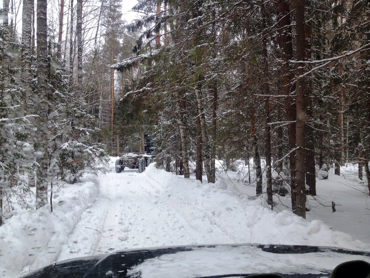 На передние шины лесовоза одеты цепи. Впереди среди деревьев видны буханки охотников.
