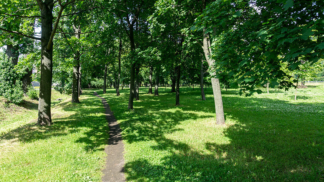 Тропинка в сквере
