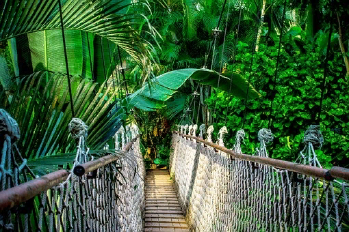 https://pixabay.com/photos/suspension-bridge-rainforest-amazon-959853/