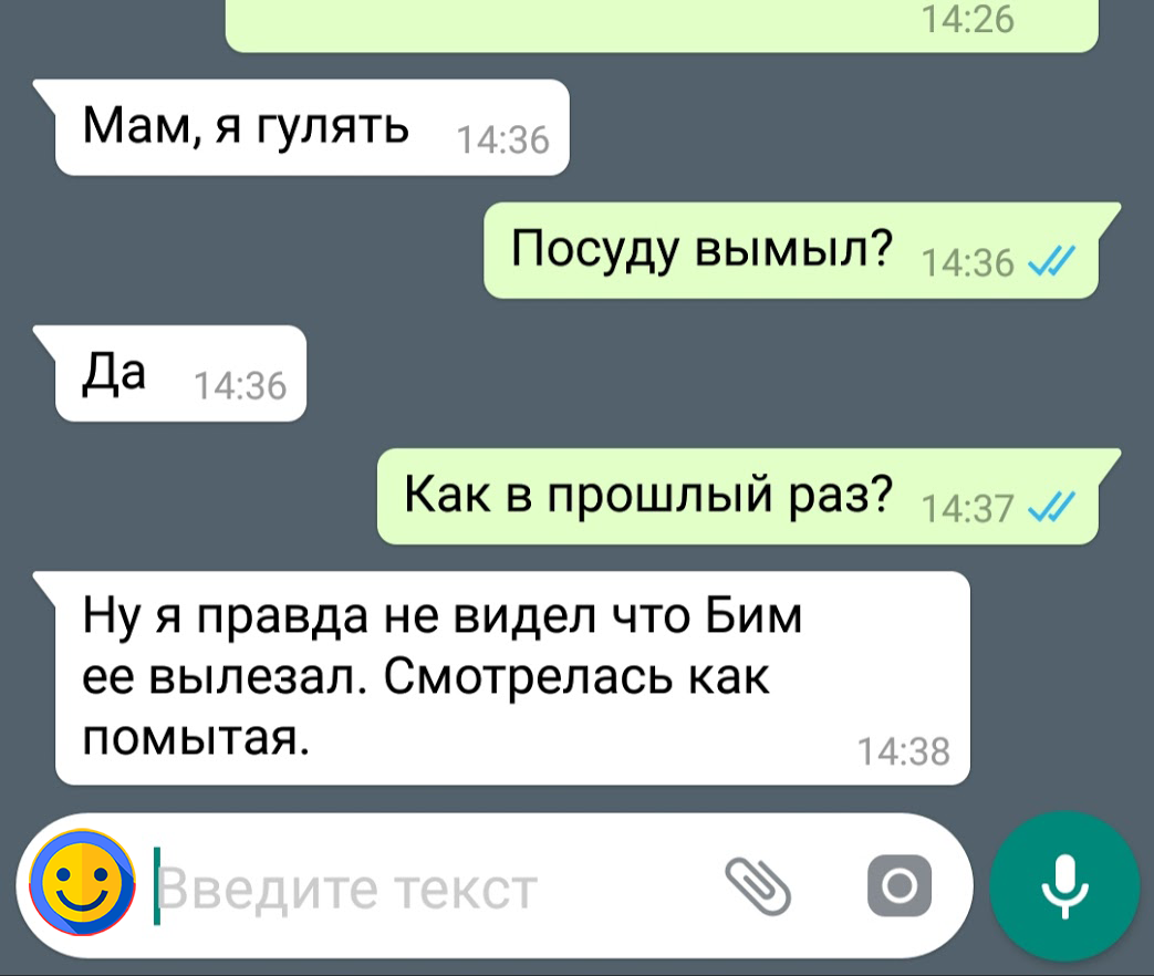 Смешные смс переписки детей с родителями. №1