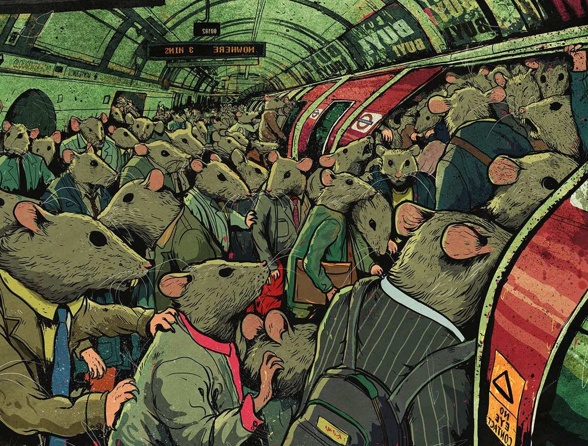 Источник: https://yandex.ru/images/