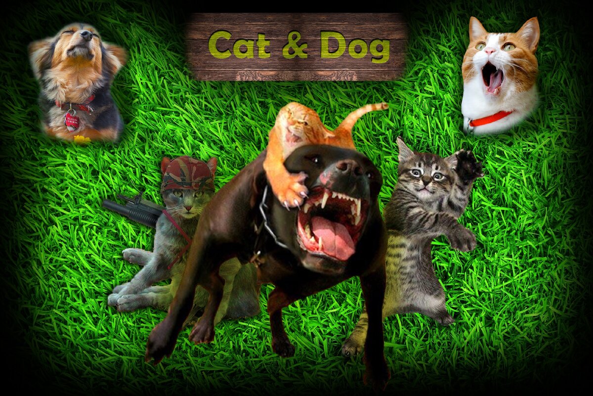 Хавайся! Хозяин я тебя в обиду не дам