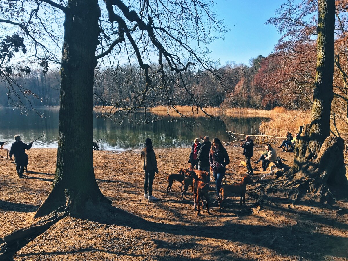 Фото автора канала Deutschland