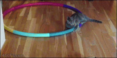 источник: http://ilovefunnyanimal.blogspot.com/