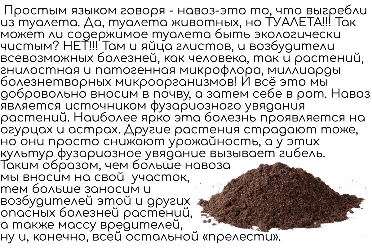 К чему снится навоз во сне женщине