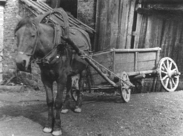 Фото Яндекс картинки.