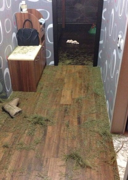 Не выносите без подготовки 😅 придётся убирать весь подъезд 