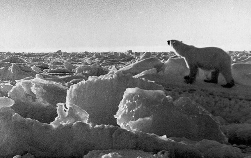 Арктики Антарктида оленеводы