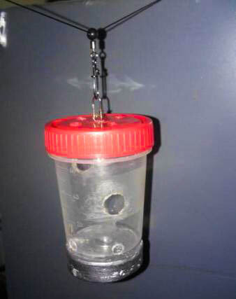 Снасть фантомас для ловли кефали. Фидер донка оснастка. Как сделать кормушку своими руками снасти. Оснастка донная (кормушка 45гр,3 крючка№4). Фидер донка оснастка.