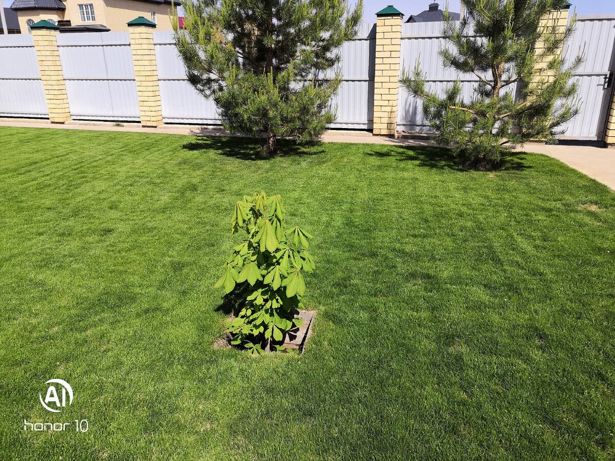 Почапская Мария 