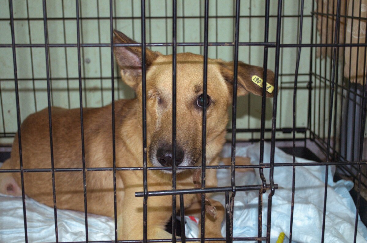 Первая встреча с Лёнчиком