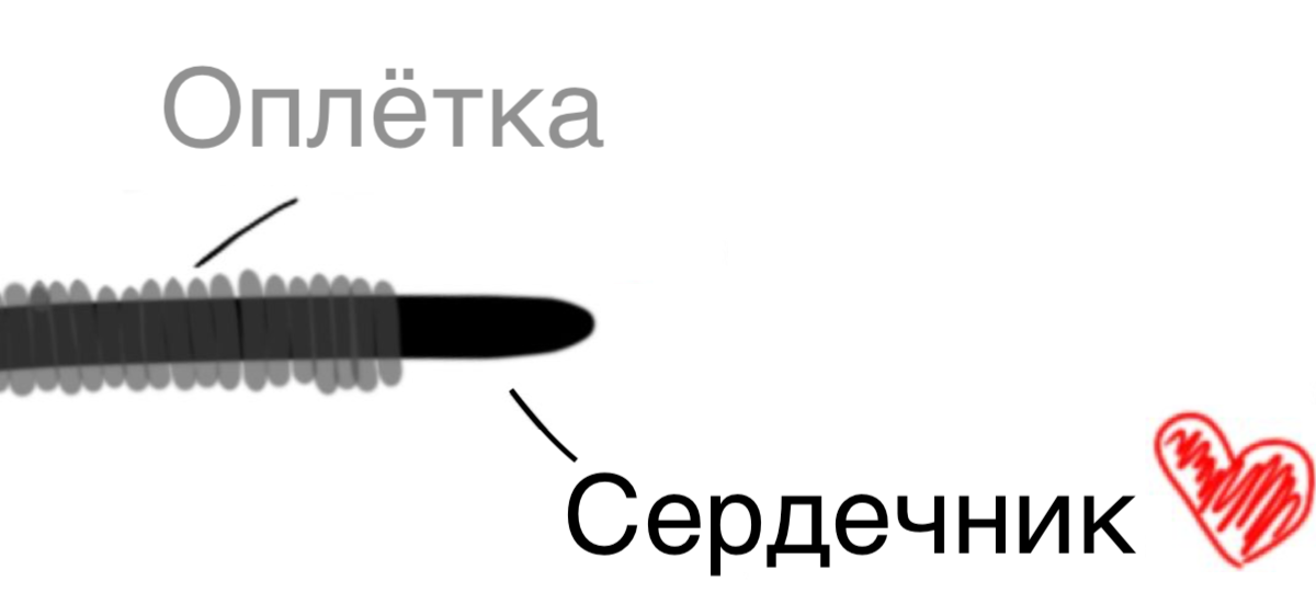 Рентген струны
