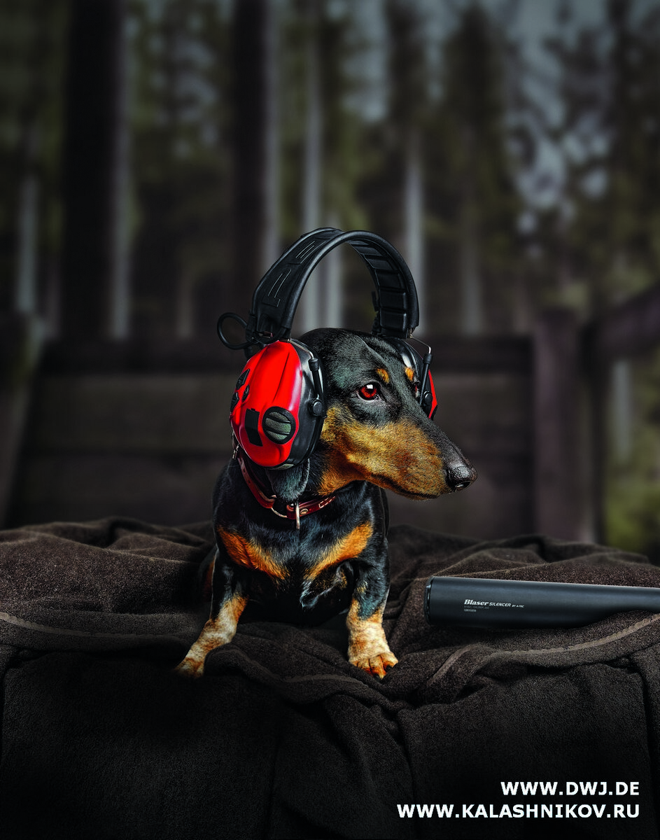 Избыточное звуковое давление вполне возможно понизить до безопасного для здоровья охотника и его собаки при помощи прибора бесшумной стрельбы. Однако у дозвуковых вариантов снаряжения существуют проблемы с баллистикой