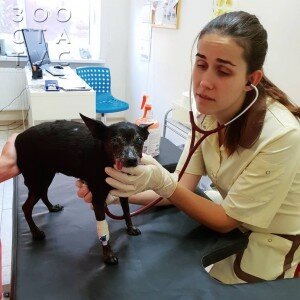 Возраст - повод для нежного отношения