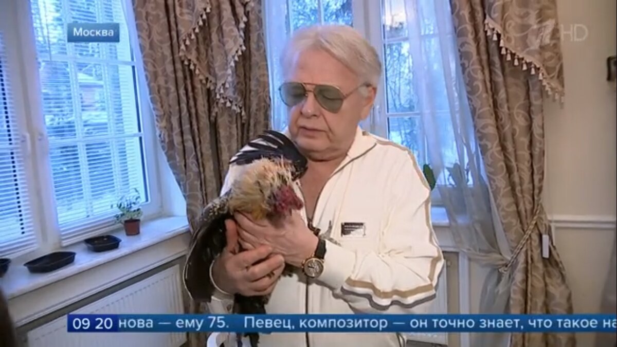 А еще в доме Юрия Антонова живет петух - его певец тоже пожалеЛ и приютил, животное ведь