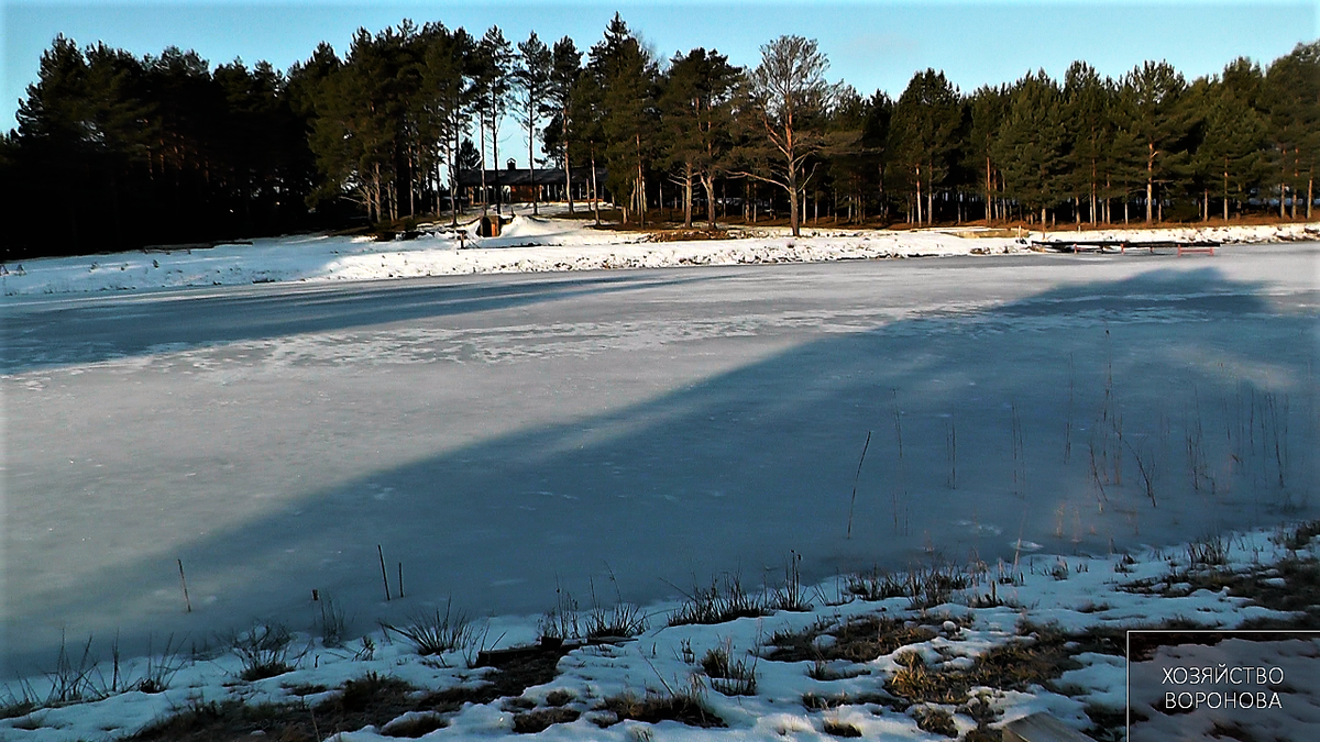 Дом издалека