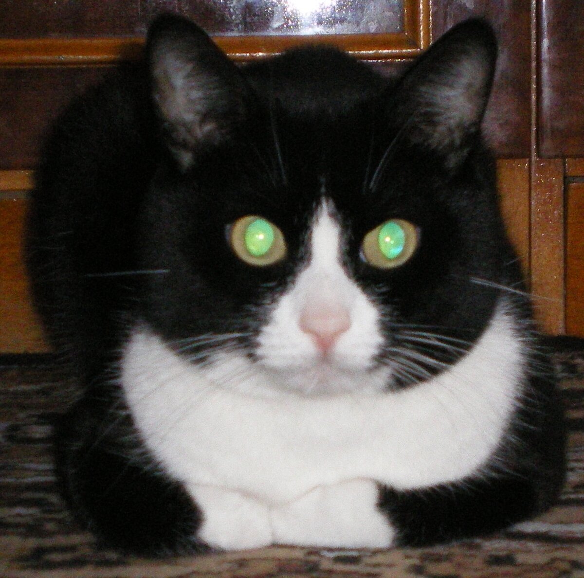 Внешне обычный...