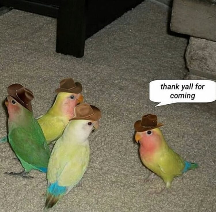 Когда собрал Родителей на кухне, чтобы сказать, что отчисляешься