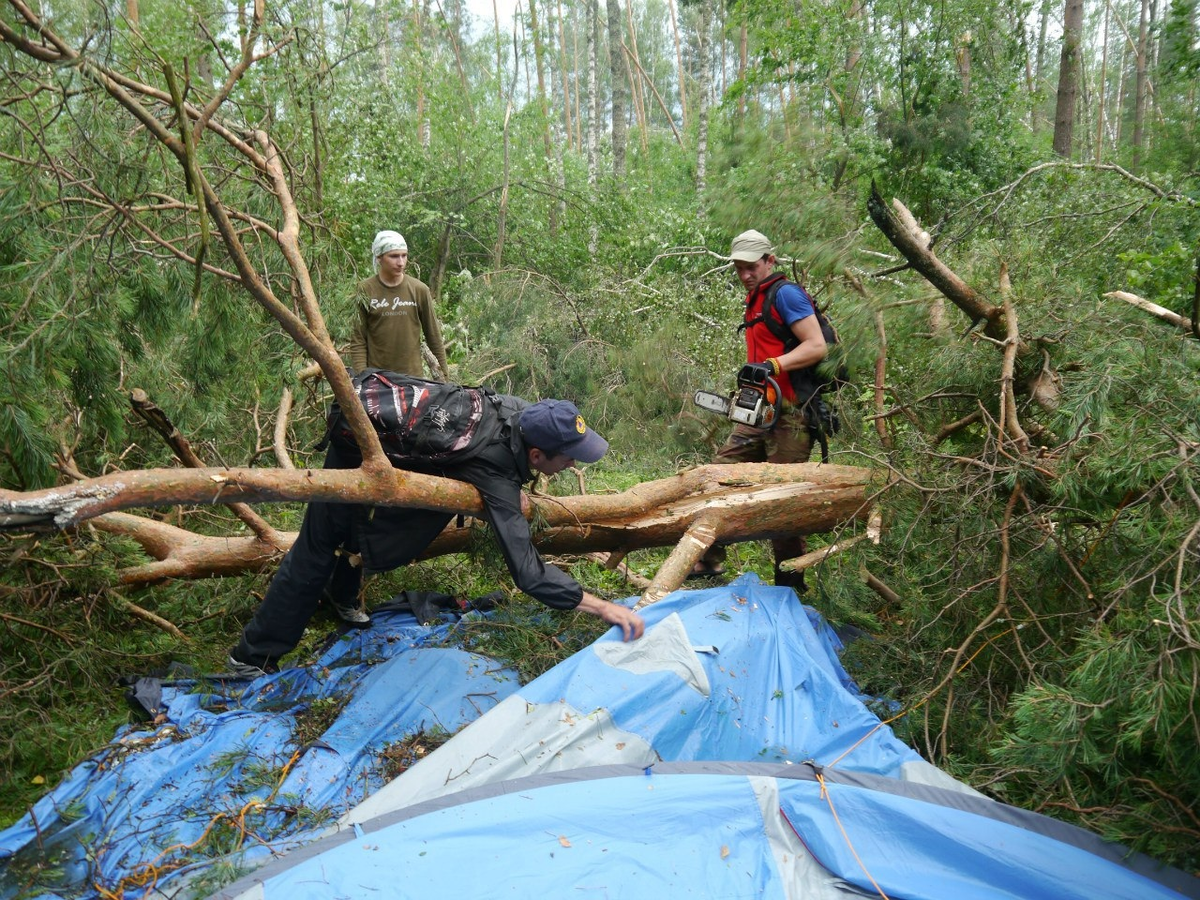 Последствия бури в лесу. Фото из архива автора