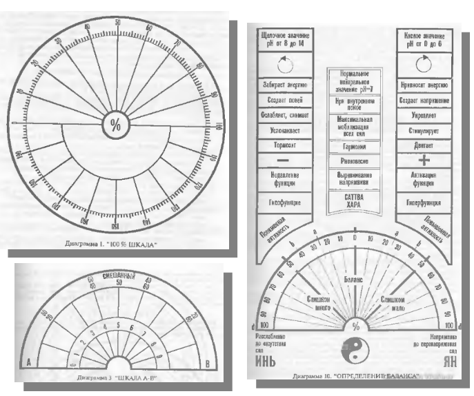 Примеры диаграмм из книги А.Литвиненко «Энергия пирамид. Волшебный прут и Звездный маятник»