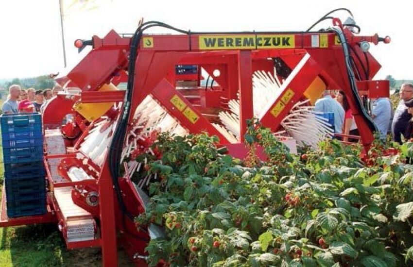 Механизация уборки урожая малины | УСЛУГИ САДОВНИКОВ В МОСКВЕ И МО | Дзен