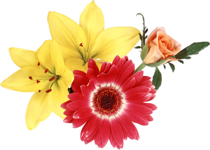 Помните, что Вы уникальны, как любой из этих цветков)))