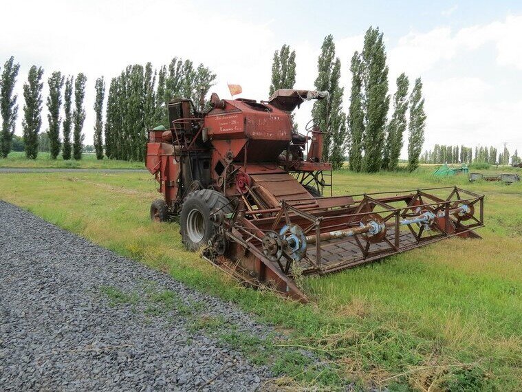 Фото из Яндекс Картинок