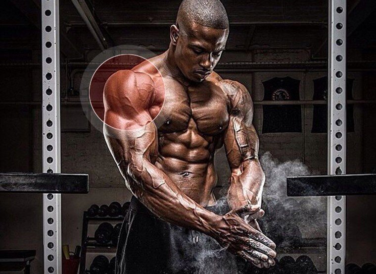 Хорошо развитые плечи визитная карточка любого атлета