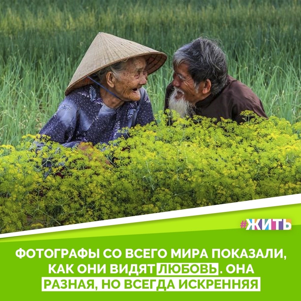 Любовь бывает не только в романах и красивых фильмах. Она более, чем реальна, живет в обычных людях, животных, птицах, далее насекомых, их поступках, мыслях и переживаниях. И какими бы скептичными и толстокожими ни делала нас жизнь, светлое чувство все равно отыщет лазейку, чтобы растопить наше сердце💛

Мы сделали для вас подборку фотографий, доказывающих, что любовь живёт в каждом живом существе и у каждого она своя - особенная🥰

#жить #проектжить #любовь