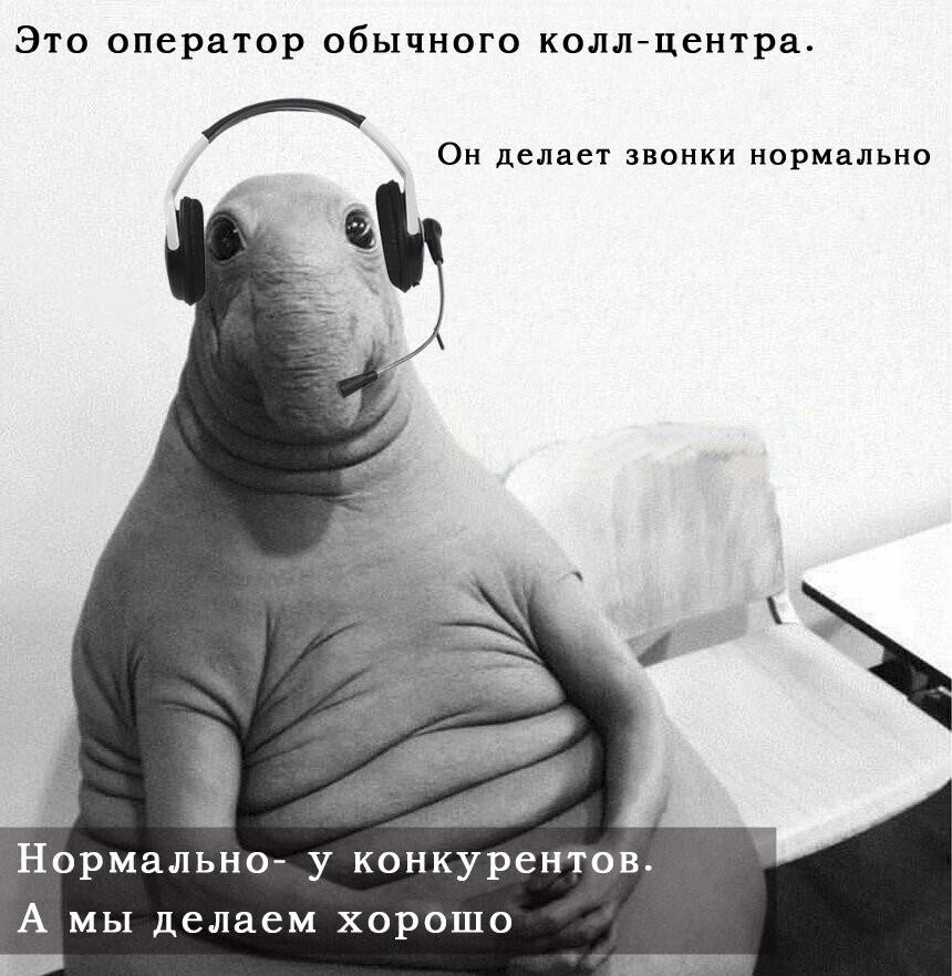 Это если что мы, как только будет предложение я о нем расскажу